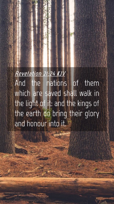 Picture 04 - Revelation 21:24 KJV Mobile Phone Wallpaper - And the nations of them which are saved shall - Mobile Bible Verse Wallpaper