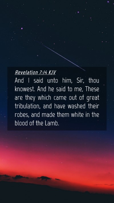 Picture 04 - Revelation 7:14 KJV Mobile Phone Wallpaper - And I said unto him, Sir, thou knowest. And he - Mobile Bible Verse Wallpaper