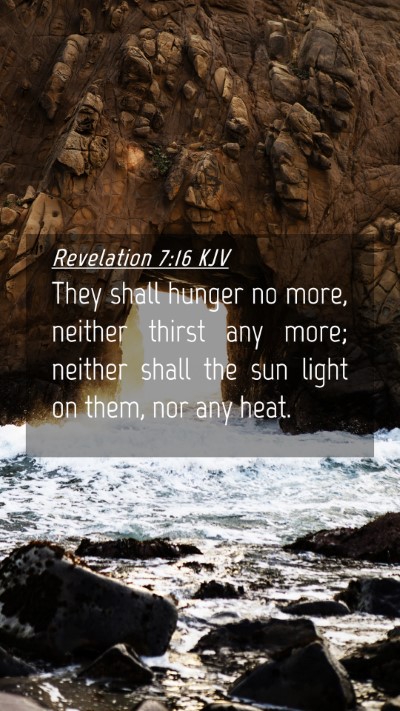 Picture 04 - Revelation 7:16 KJV Mobile Phone Wallpaper - They shall hunger no more, neither thirst any - Mobile Bible Verse Wallpaper