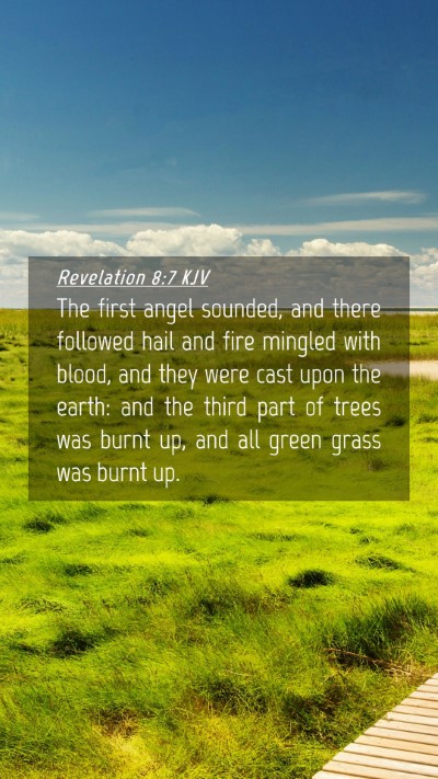 Picture 04 - Revelation 8:7 KJV Mobile Phone Wallpaper - The first angel sounded, and there followed hail - Mobile Bible Verse Wallpaper