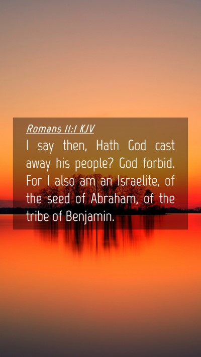 Picture 04 - Romans 11:1 KJV Mobile Phone Wallpaper - I say then, Hath God cast away his people? God - Mobile Bible Verse Wallpaper