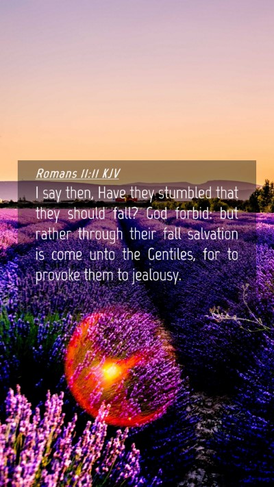 Picture 04 - Romans 11:11 KJV Mobile Phone Wallpaper - I say then, Have they stumbled that they should - Mobile Bible Verse Wallpaper