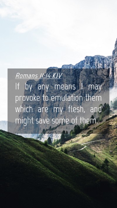Picture 04 - Romans 11:14 KJV Mobile Phone Wallpaper - If by any means I may provoke to emulation them - Mobile Bible Verse Wallpaper