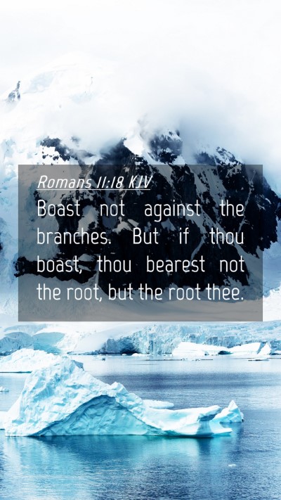 Picture 04 - Romans 11:18 KJV Mobile Phone Wallpaper - Boast not against the branches. But if thou - Mobile Bible Verse Wallpaper