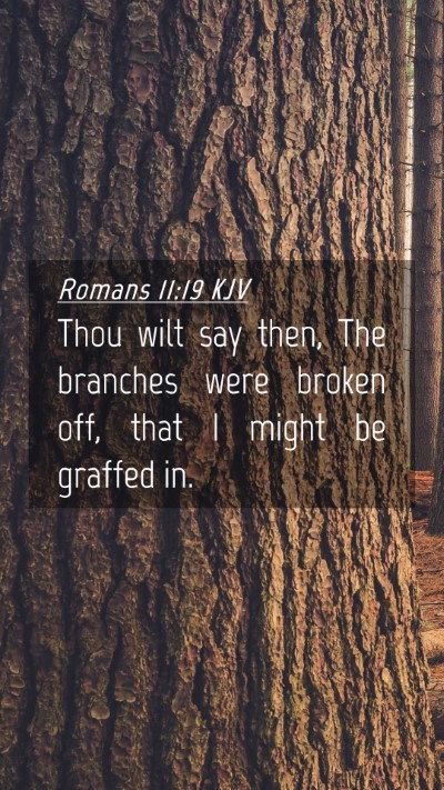 Picture 04 - Romans 11:19 KJV Mobile Phone Wallpaper - Thou wilt say then, The branches were broken off, - Mobile Bible Verse Wallpaper