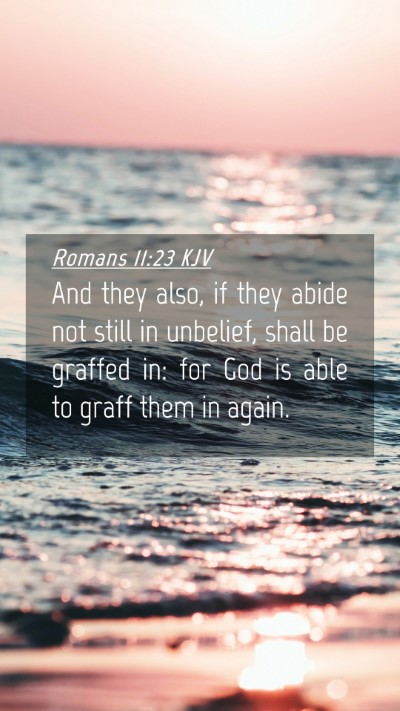 Picture 04 - Romans 11:23 KJV Mobile Phone Wallpaper - And they also, if they abide not still in - Mobile Bible Verse Wallpaper