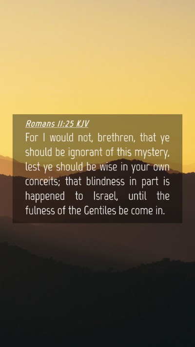 Picture 04 - Romans 11:25 KJV Mobile Phone Wallpaper - For I would not, brethren, that ye should be - Mobile Bible Verse Wallpaper