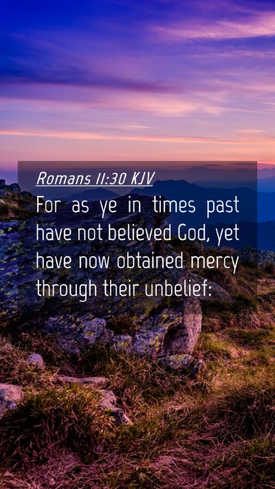 Picture 04 - Romans 11:30 KJV Mobile Phone Wallpaper - For as ye in times past have not believed God, - Mobile Bible Verse Wallpaper
