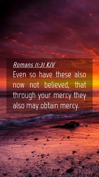 Picture 04 - Romans 11:31 KJV Mobile Phone Wallpaper - Even so have these also now not believed, that - Mobile Bible Verse Wallpaper