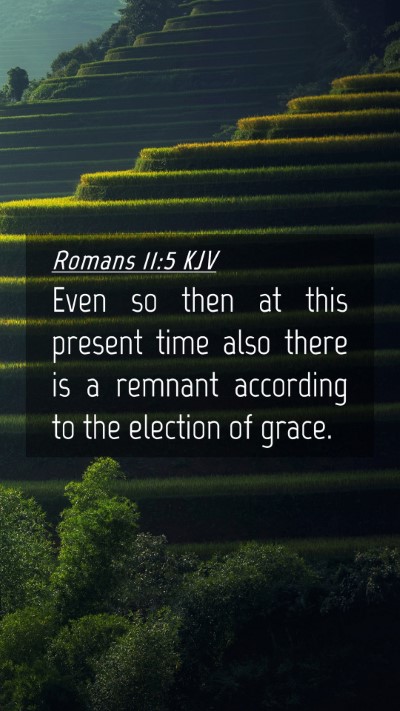 Picture 04 - Romans 11:5 KJV Mobile Phone Wallpaper - Even so then at this present time also there is a - Mobile Bible Verse Wallpaper