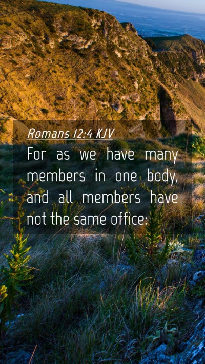 Picture 04 - Romans 12:4 KJV Mobile Phone Wallpaper - For as we have many members in one body, and all - Mobile Bible Verse Wallpaper