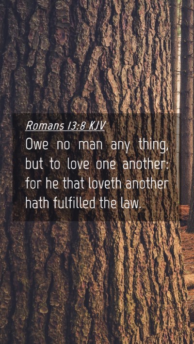 Picture 04 - Romans 13:8 KJV Mobile Phone Wallpaper - Owe no man any thing, but to love one another: - Mobile Bible Verse Wallpaper