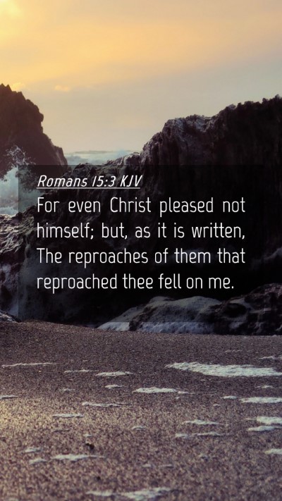 Picture 04 - Romans 15:3 KJV Mobile Phone Wallpaper - For even Christ pleased not himself; but, as it - Mobile Bible Verse Wallpaper