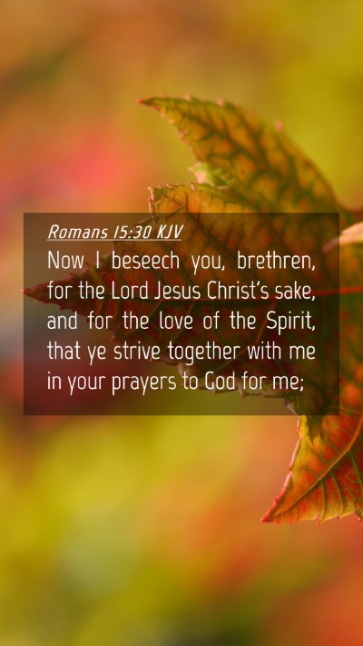 Picture 04 - Romans 15:30 KJV Mobile Phone Wallpaper - Now I beseech you, brethren, for the Lord Jesus - Mobile Bible Verse Wallpaper