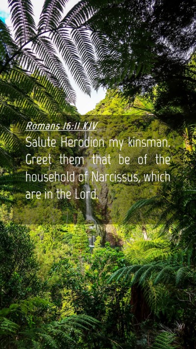 Picture 04 - Romans 16:11 KJV Mobile Phone Wallpaper - Salute Herodion my kinsman. Greet them that be of - Mobile Bible Verse Wallpaper