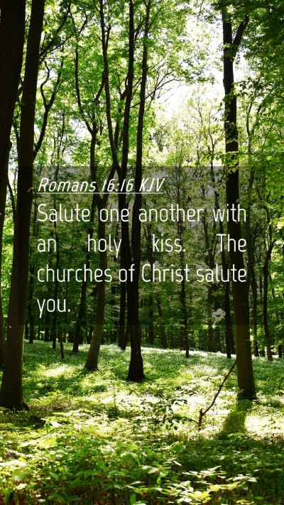 Picture 04 - Romans 16:16 KJV Mobile Phone Wallpaper - Salute one another with an holy kiss. The - Mobile Bible Verse Wallpaper