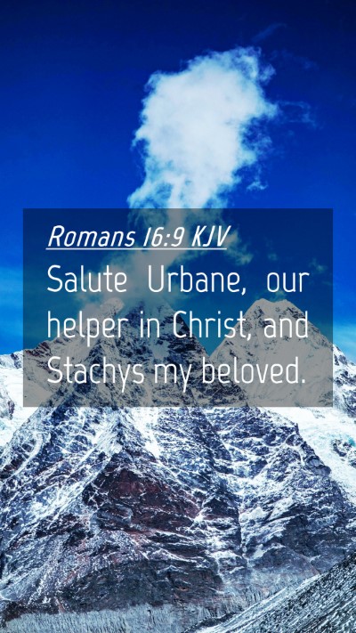 Picture 04 - Romans 16:9 KJV Mobile Phone Wallpaper - Salute Urbane, our helper in Christ, and Stachys - Mobile Bible Verse Wallpaper