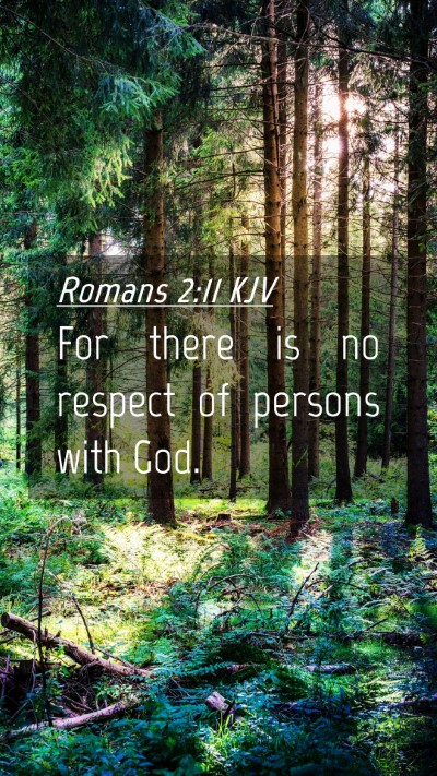 Picture 04 - Romans 2:11 KJV Mobile Phone Wallpaper - For there is no respect of persons with - Mobile Bible Verse Wallpaper