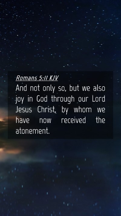 Picture 04 - Romans 5:11 KJV Mobile Phone Wallpaper - And not only so, but we also joy in God through - Mobile Bible Verse Wallpaper