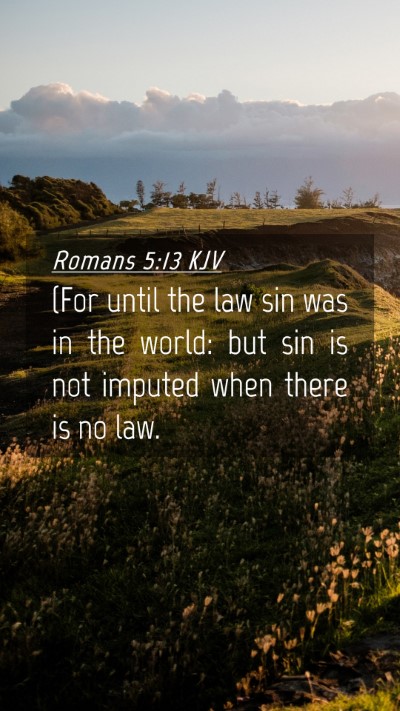 Picture 04 - Romans 5:13 KJV Mobile Phone Wallpaper - (For until the law sin was in the world: but sin - Mobile Bible Verse Wallpaper