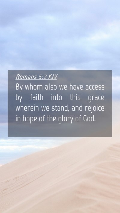 Picture 04 - Romans 5:2 KJV Mobile Phone Wallpaper - By whom also we have access by faith into this - Mobile Bible Verse Wallpaper