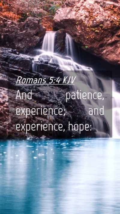 Picture 04 - Romans 5:4 KJV Mobile Phone Wallpaper - And patience, experience; and experience, - Mobile Bible Verse Wallpaper