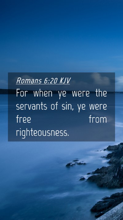 Picture 04 - Romans 6:20 KJV Mobile Phone Wallpaper - For when ye were the servants of sin, ye were - Mobile Bible Verse Wallpaper