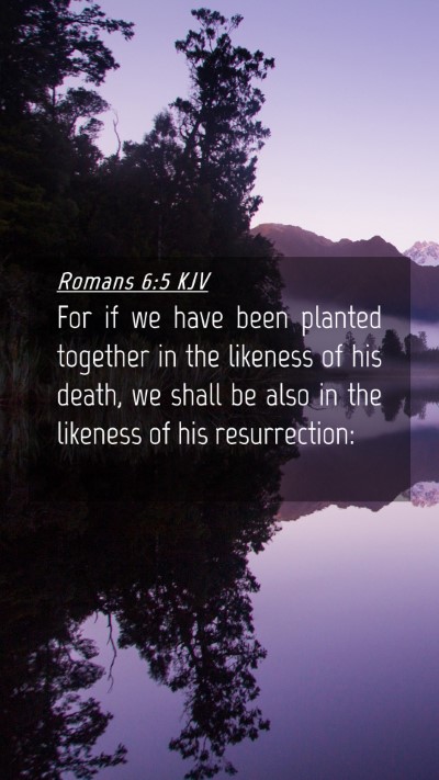 Picture 04 - Romans 6:5 KJV Mobile Phone Wallpaper - For if we have been planted together in the - Mobile Bible Verse Wallpaper