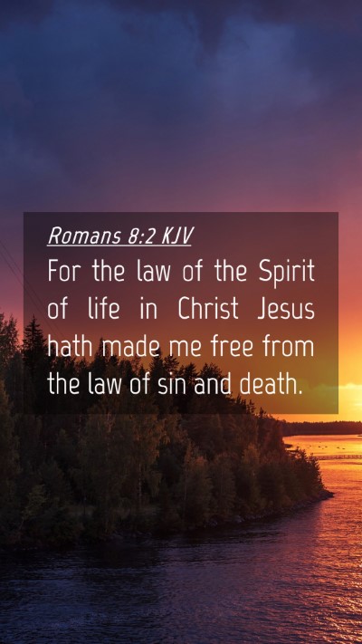 Picture 04 - Romans 8:2 KJV Mobile Phone Wallpaper - For the law of the Spirit of life in Christ Jesus - Mobile Bible Verse Wallpaper
