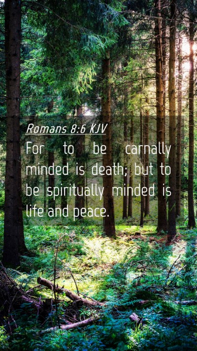 Picture 04 - Romans 8:6 KJV Mobile Phone Wallpaper - For to be carnally minded is death; but to be - Mobile Bible Verse Wallpaper