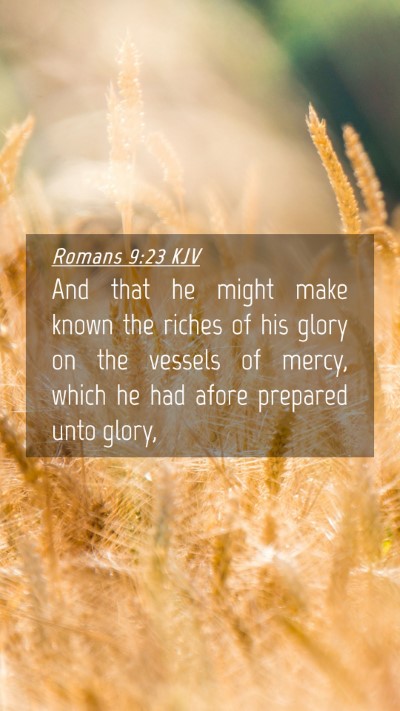Picture 04 - Romans 9:23 KJV Mobile Phone Wallpaper - And that he might make known the riches of his - Mobile Bible Verse Wallpaper