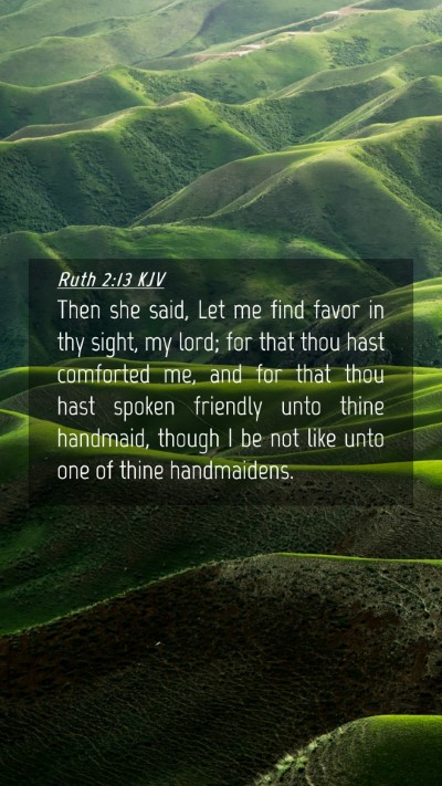 Picture 04 - Ruth 2:13 KJV Mobile Phone Wallpaper - Then she said, Let me find favor in thy sight, my - Mobile Bible Verse Wallpaper