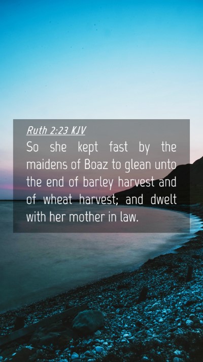 Picture 04 - Ruth 2:23 KJV Mobile Phone Wallpaper - So she kept fast by the maidens of Boaz to glean - Mobile Bible Verse Wallpaper