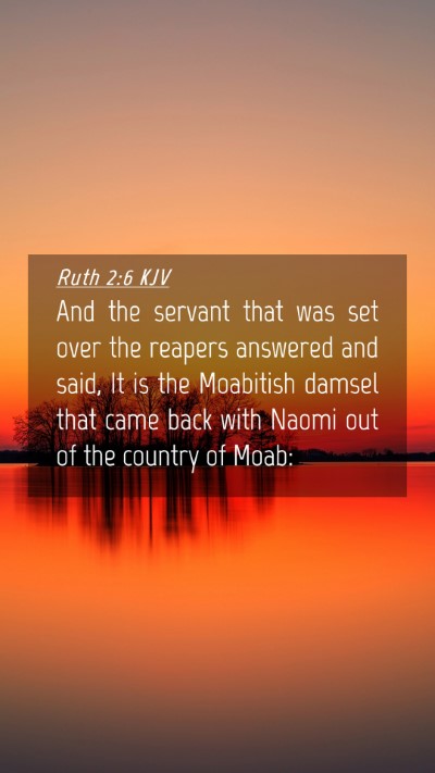 Picture 04 - Ruth 2:6 KJV Mobile Phone Wallpaper - And the servant that was set over the reapers - Mobile Bible Verse Wallpaper