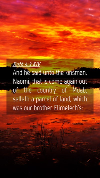 Picture 04 - Ruth 4:3 KJV Mobile Phone Wallpaper - And he said unto the kinsman, Naomi, that is come - Mobile Bible Verse Wallpaper