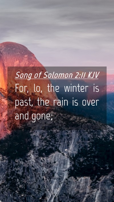 Picture 04 - Song of Solomon 2:11 KJV Mobile Phone Wallpaper - For, lo, the winter is past, the rain is over and - Mobile Bible Verse Wallpaper