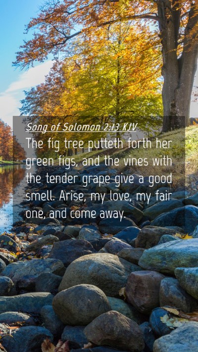 Picture 04 - Song of Solomon 2:13 KJV Mobile Phone Wallpaper - The fig tree putteth forth her green figs, and - Mobile Bible Verse Wallpaper