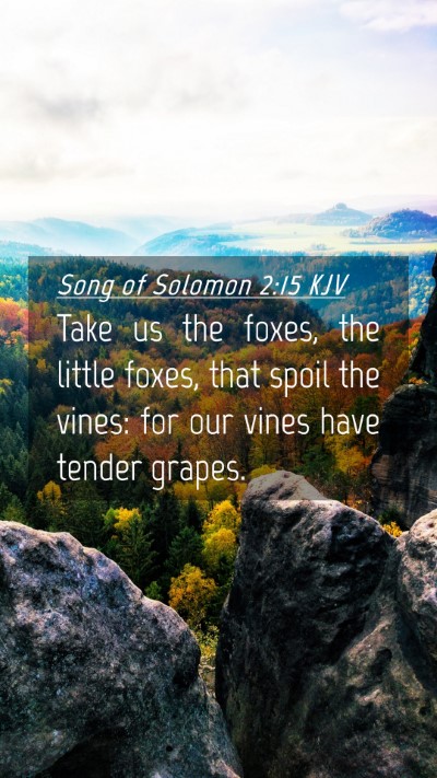 Picture 04 - Song of Solomon 2:15 KJV Mobile Phone Wallpaper - Take us the foxes, the little foxes, that spoil - Mobile Bible Verse Wallpaper