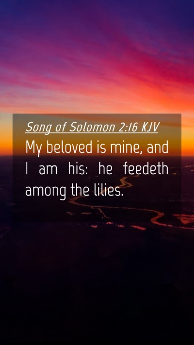 Picture 04 - Song of Solomon 2:16 KJV Mobile Phone Wallpaper - My beloved is mine, and I am his: he feedeth - Mobile Bible Verse Wallpaper
