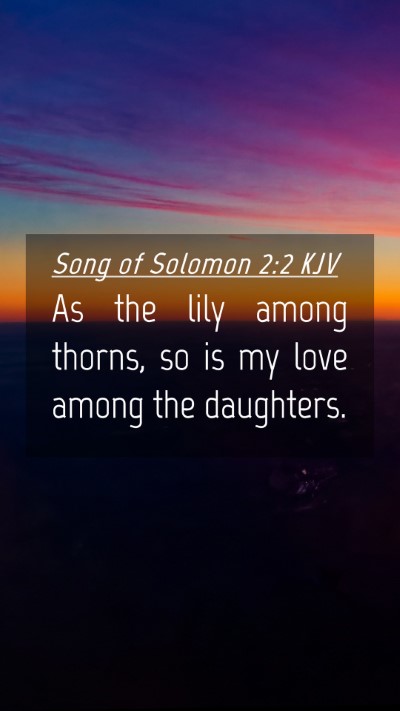 Picture 04 - Song of Solomon 2:2 KJV Mobile Phone Wallpaper - As the lily among thorns, so is my love among the - Mobile Bible Verse Wallpaper