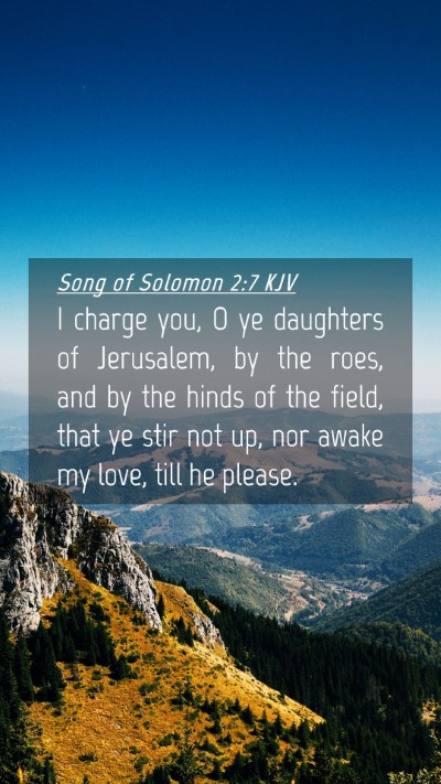Picture 04 - Song of Solomon 2:7 KJV Mobile Phone Wallpaper - I charge you, O ye daughters of Jerusalem, by the - Mobile Bible Verse Wallpaper