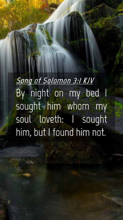 Picture 04 - Song of Solomon 3:1 KJV Mobile Phone Wallpaper - By night on my bed I sought him whom my soul - Mobile Bible Verse Wallpaper