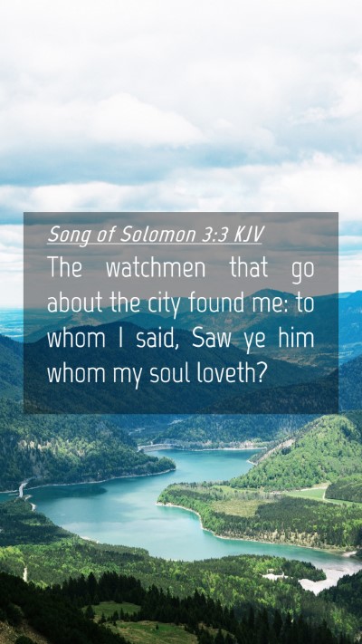 Picture 04 - Song of Solomon 3:3 KJV Mobile Phone Wallpaper - The watchmen that go about the city found me: to - Mobile Bible Verse Wallpaper