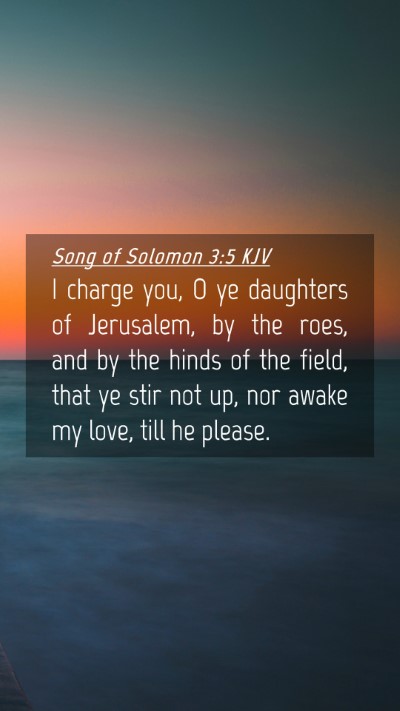 Picture 04 - Song of Solomon 3:5 KJV Mobile Phone Wallpaper - I charge you, O ye daughters of Jerusalem, by the - Mobile Bible Verse Wallpaper