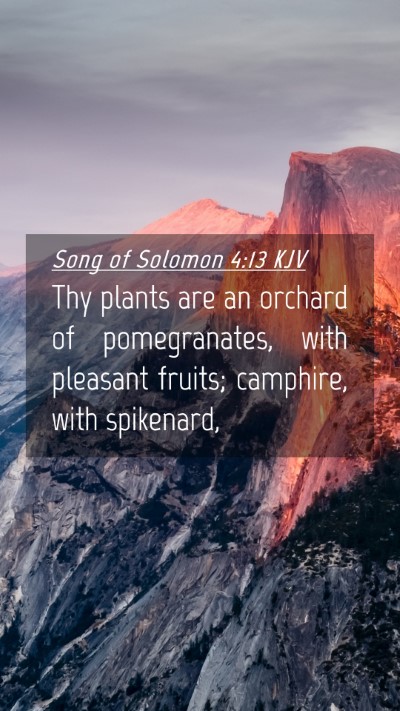 Picture 04 - Song of Solomon 4:13 KJV Mobile Phone Wallpaper - Thy plants are an orchard of pomegranates, with - Mobile Bible Verse Wallpaper