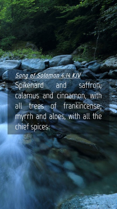 Picture 04 - Song of Solomon 4:14 KJV Mobile Phone Wallpaper - Spikenard and saffron; calamus and cinnamon, with - Mobile Bible Verse Wallpaper