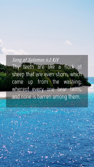 Picture 04 - Song of Solomon 4:2 KJV Mobile Phone Wallpaper - Thy teeth are like a flock of sheep that are even - Mobile Bible Verse Wallpaper