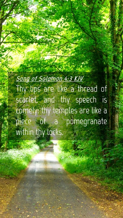 Picture 04 - Song of Solomon 4:3 KJV Mobile Phone Wallpaper - Thy lips are like a thread of scarlet, and thy - Mobile Bible Verse Wallpaper