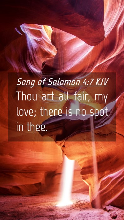 Picture 04 - Song of Solomon 4:7 KJV Mobile Phone Wallpaper - Thou art all fair, my love; there is no spot in - Mobile Bible Verse Wallpaper