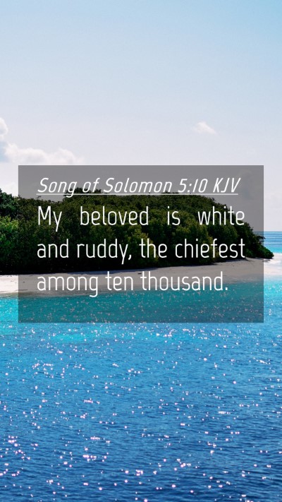 Picture 04 - Song of Solomon 5:10 KJV Mobile Phone Wallpaper - My beloved is white and ruddy, the chiefest among - Mobile Bible Verse Wallpaper